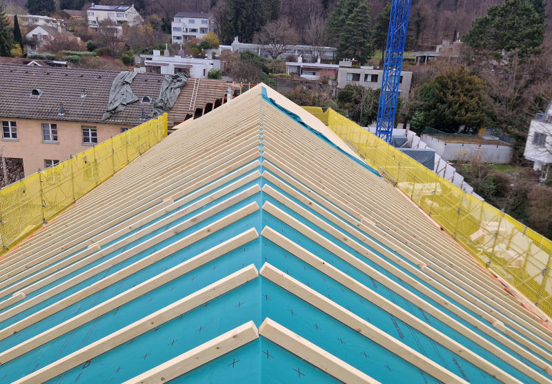 renovation-altbau